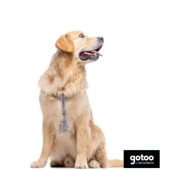 Gotoo Arnés rayas zig- zag para perros