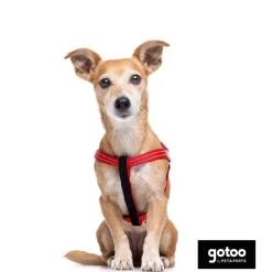 Gotoo Arnés reflectante de neopreno rojo para perros Discount