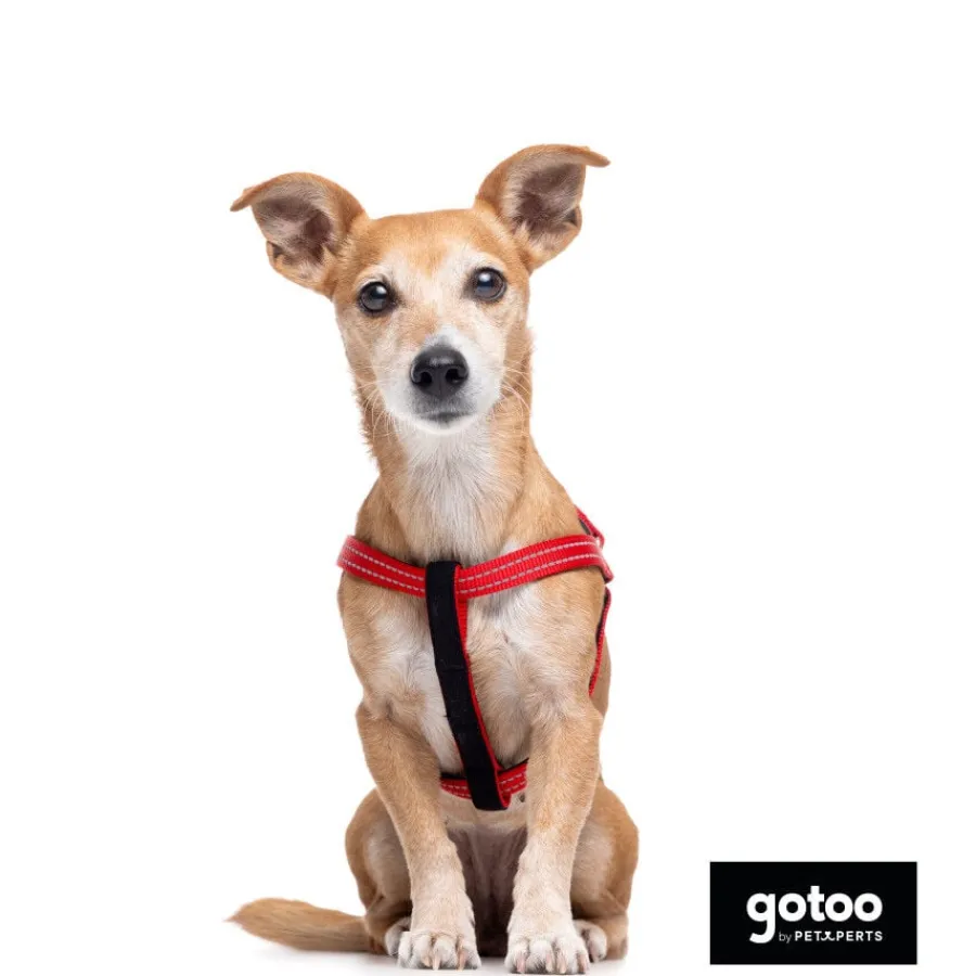 Gotoo Arnés reflectante de neopreno rojo para perros Discount