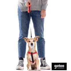 Gotoo Arnés reflectante de neopreno rojo para perros Discount