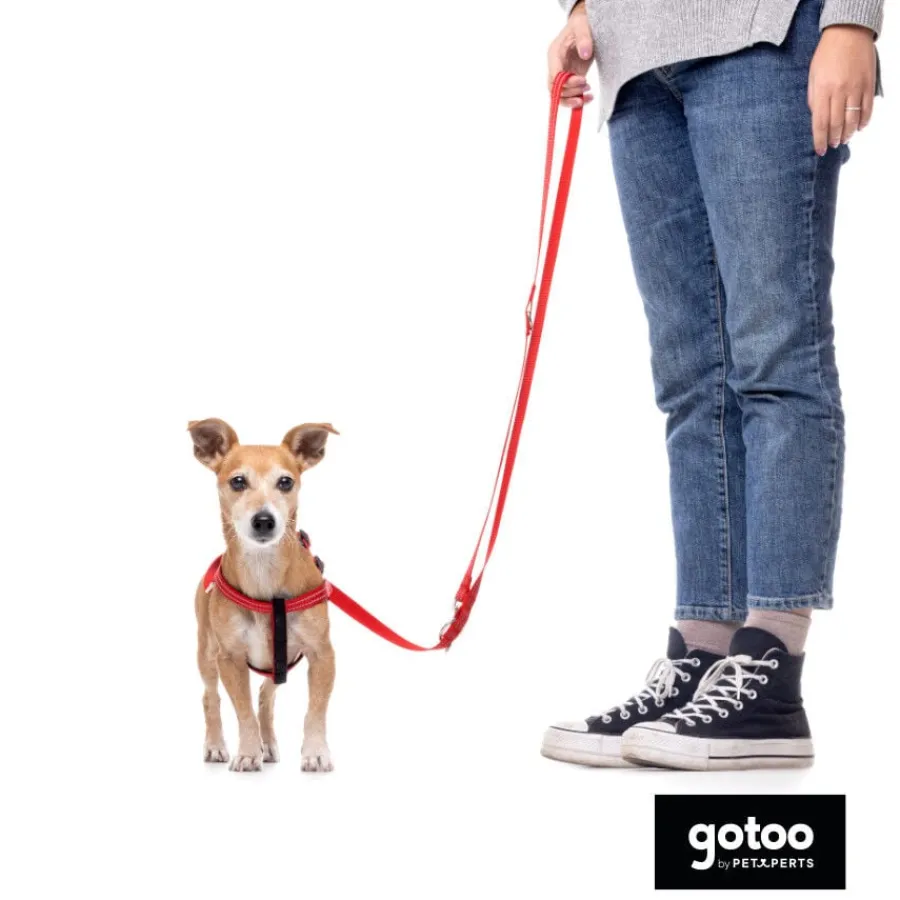 Gotoo Arnés reflectante de neopreno rojo para perros Discount