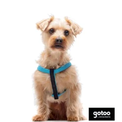 Gotoo Arnés reflectante de neopreno azul para perros Best