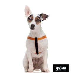 Gotoo Arnés reflectante de neopreno naranja para perros Clearance