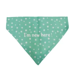 Gotoo Bandana estampada verde para perros Discount