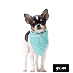 Gotoo Bandana estampada verde para perros Discount