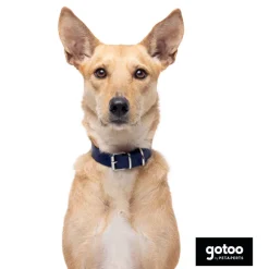 Gotoo Collar Biothane azul para perros Best