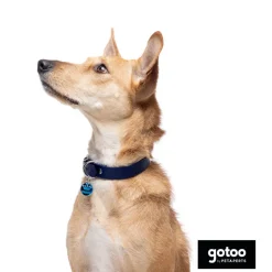 Gotoo Collar Biothane azul para perros Best