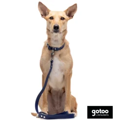 Gotoo Collar Biothane azul para perros Best