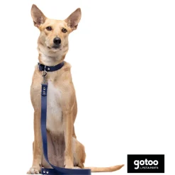 Gotoo Collar Biothane azul para perros Best