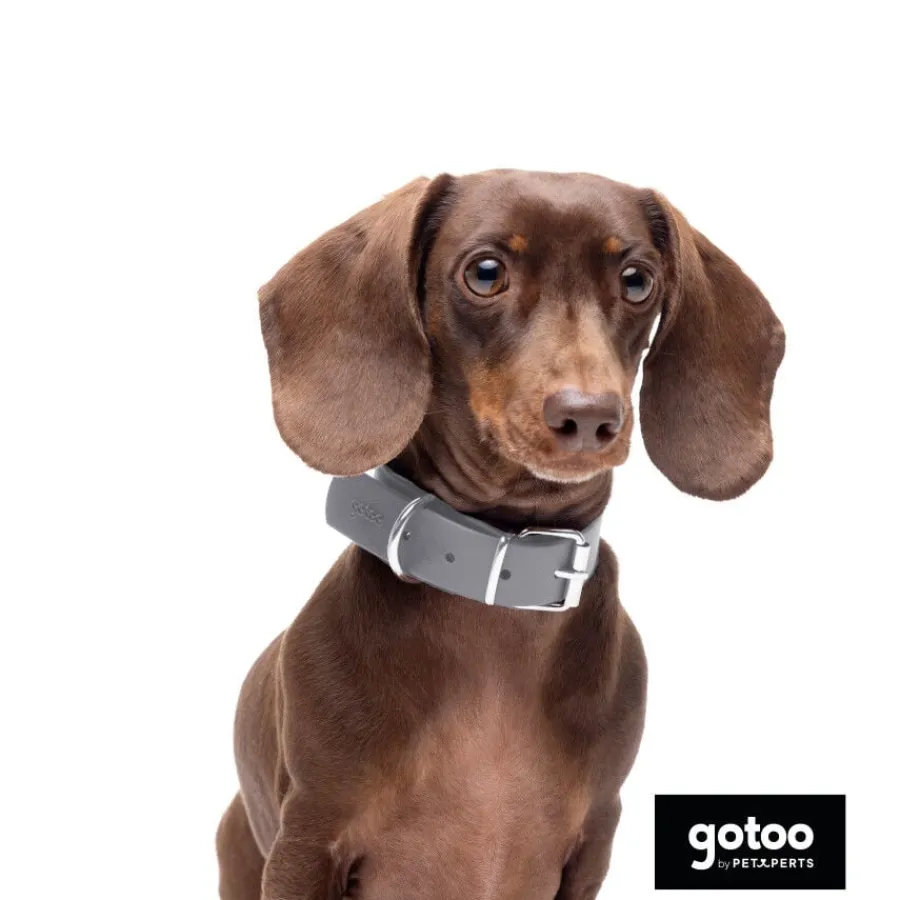 Gotoo Collar Biothane gris para perros Hot