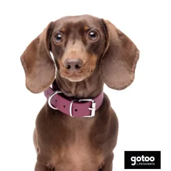 Gotoo Collar Biothane rojo vino para perros New