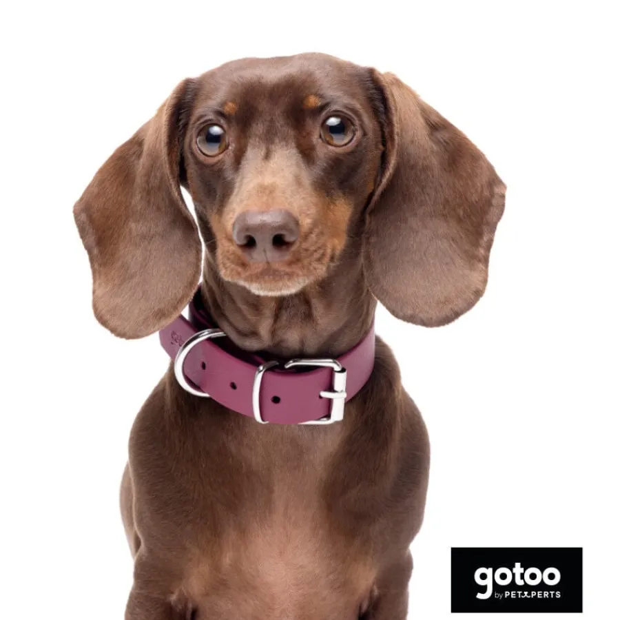 Gotoo Collar Biothane rojo vino para perros New