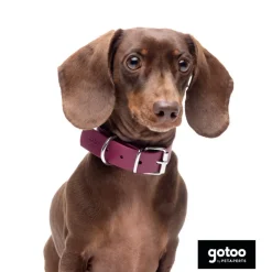 Gotoo Collar Biothane rojo vino para perros New