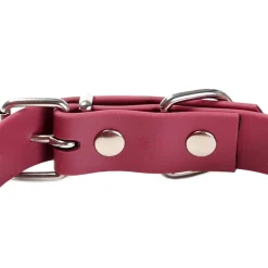 Gotoo Collar Biothane rojo vino para perros New