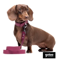 Gotoo Collar Biothane rojo vino para perros New