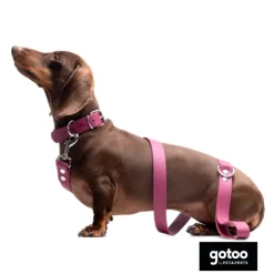 Gotoo Collar Biothane rojo vino para perros New