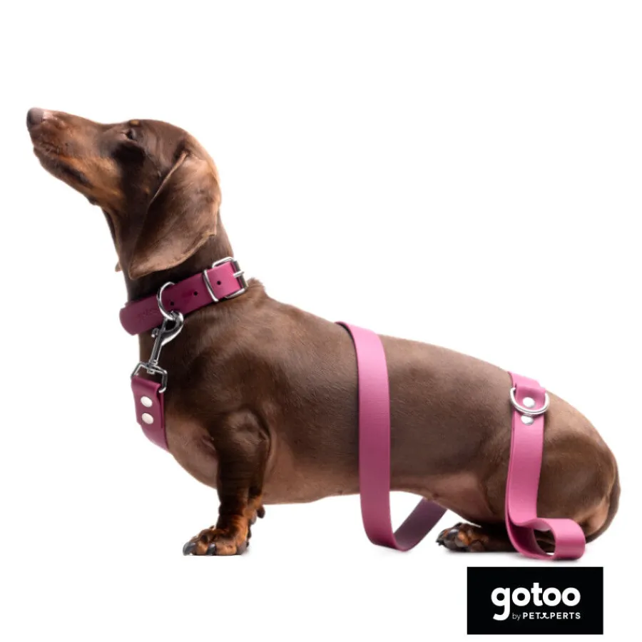 Gotoo Collar Biothane rojo vino para perros New