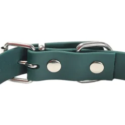 Gotoo Collar Biothane verde para perros Online