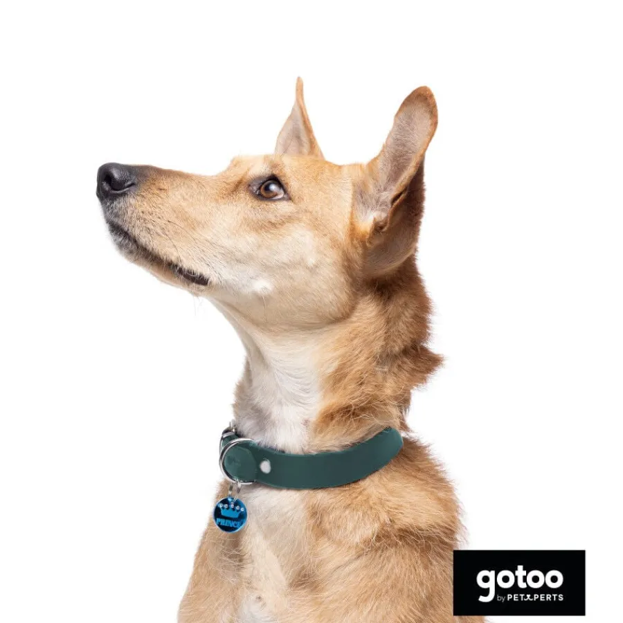 Gotoo Collar Biothane verde para perros Online