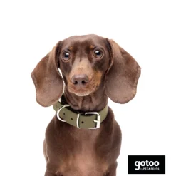 Gotoo Collar Biothane verde oliva para perros Online