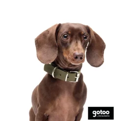 Gotoo Collar Biothane verde oliva para perros Online