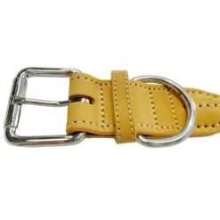 Gotoo Collar cuero azul para perros Sale