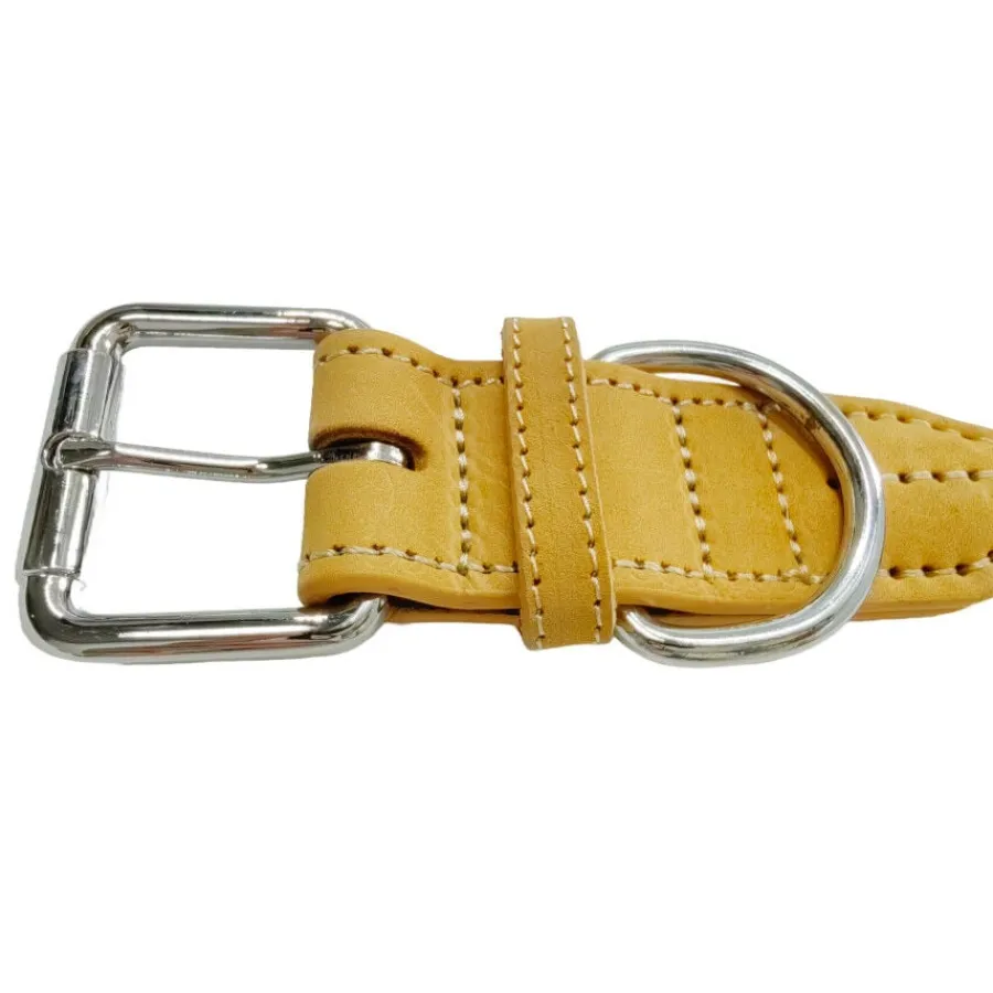 Gotoo Collar cuero azul para perros Sale