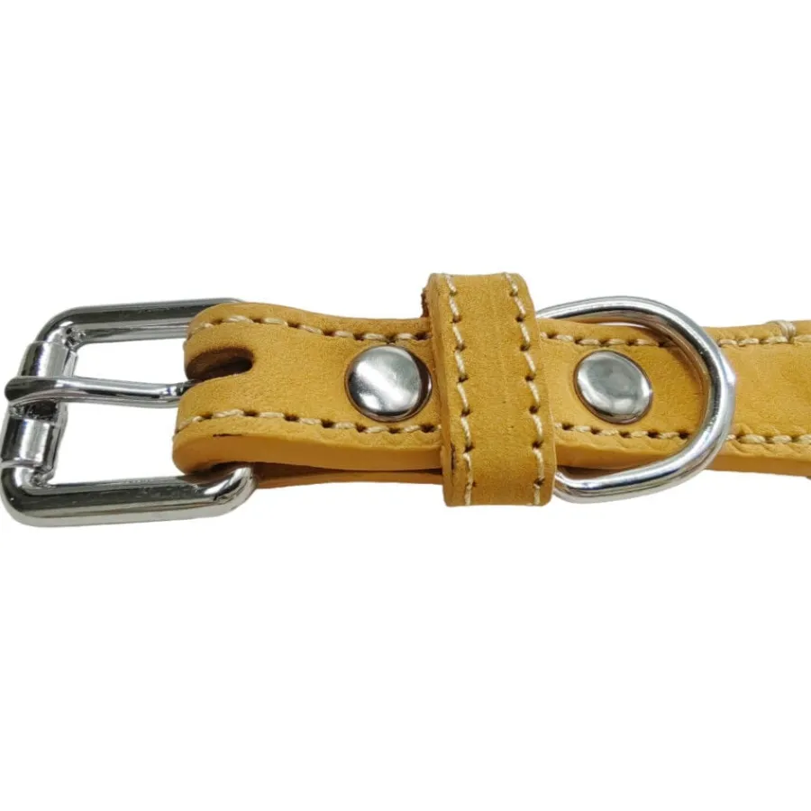 Gotoo Collar cuero verde para perros Sale