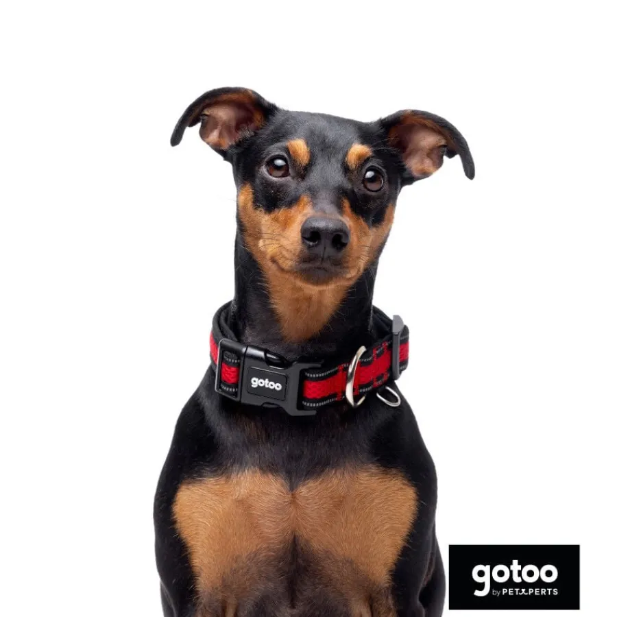 Gotoo Collar de malla transpirable rojo para perros New