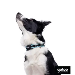 Gotoo collar de malla transpirable turquesa para perros Outlet