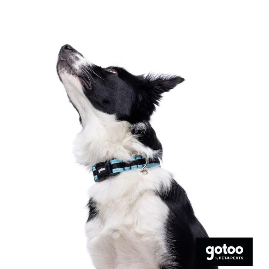 Gotoo collar de malla transpirable turquesa para perros Outlet