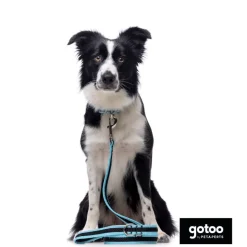 Gotoo collar de malla transpirable turquesa para perros Outlet