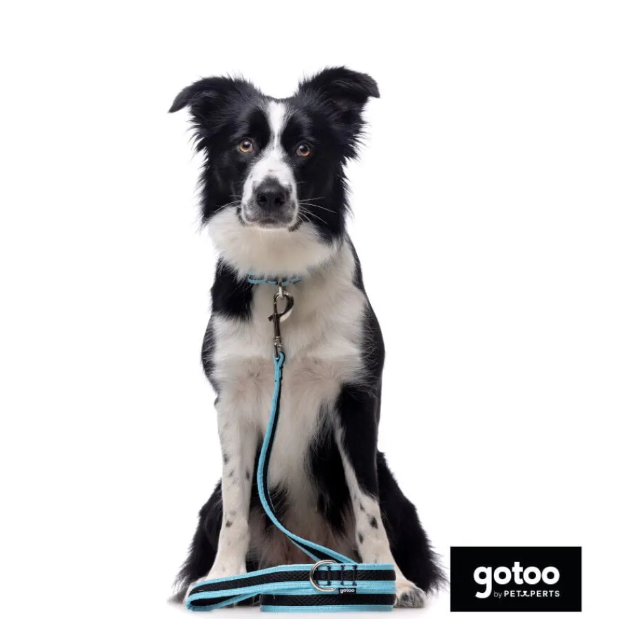 Gotoo collar de malla transpirable turquesa para perros Outlet