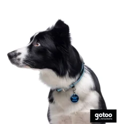 Gotoo collar de malla transpirable turquesa para perros Outlet