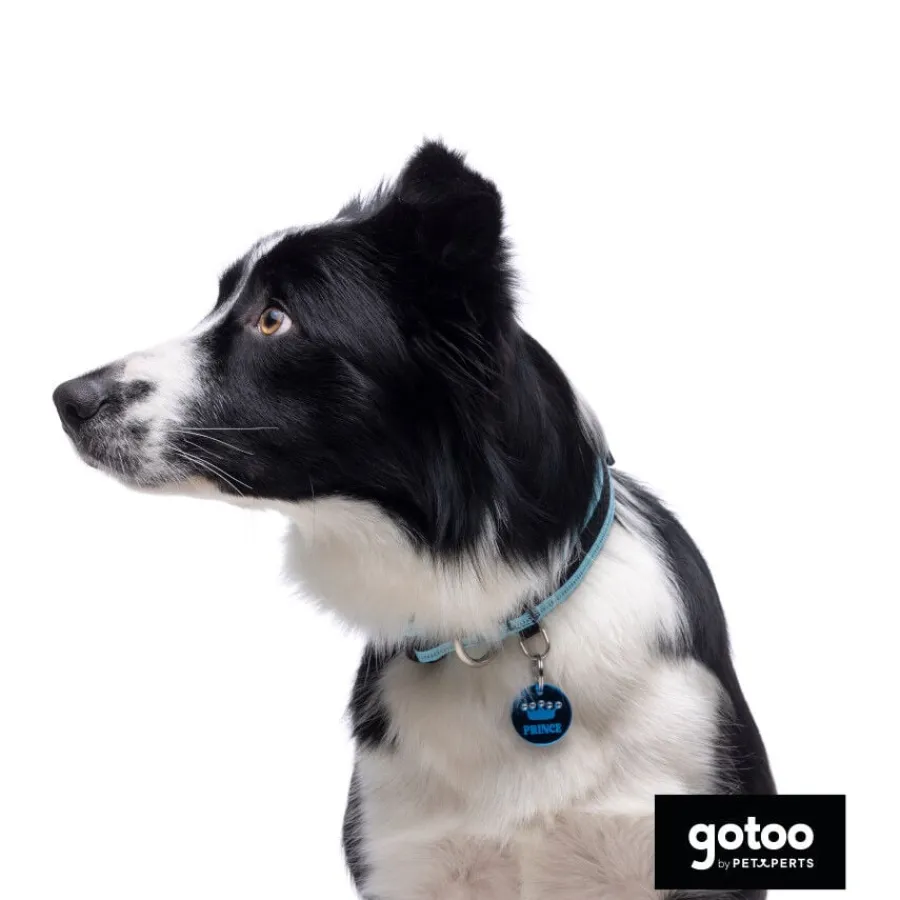 Gotoo collar de malla transpirable turquesa para perros Outlet