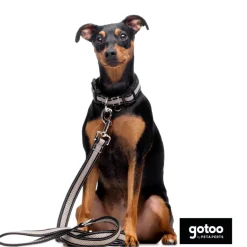Gotoo Collar de malla transpirable gris para perros Outlet