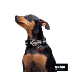 Gotoo Collar de malla transpirable gris para perros Outlet