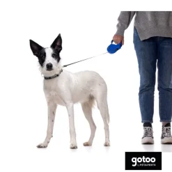 Gotoo Collar de nylon negro para perros Discount