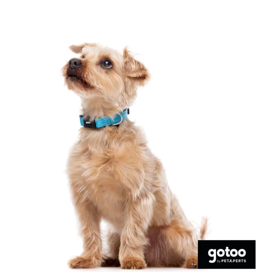 Gotoo collar de nylon reflectante azul para perros Online