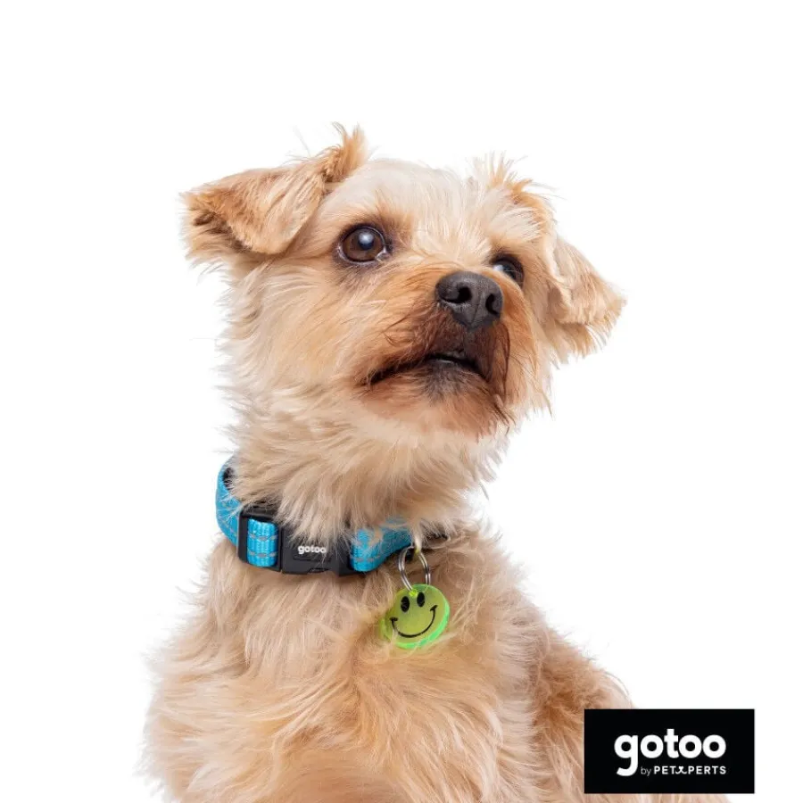 Gotoo collar de nylon reflectante azul para perros Online