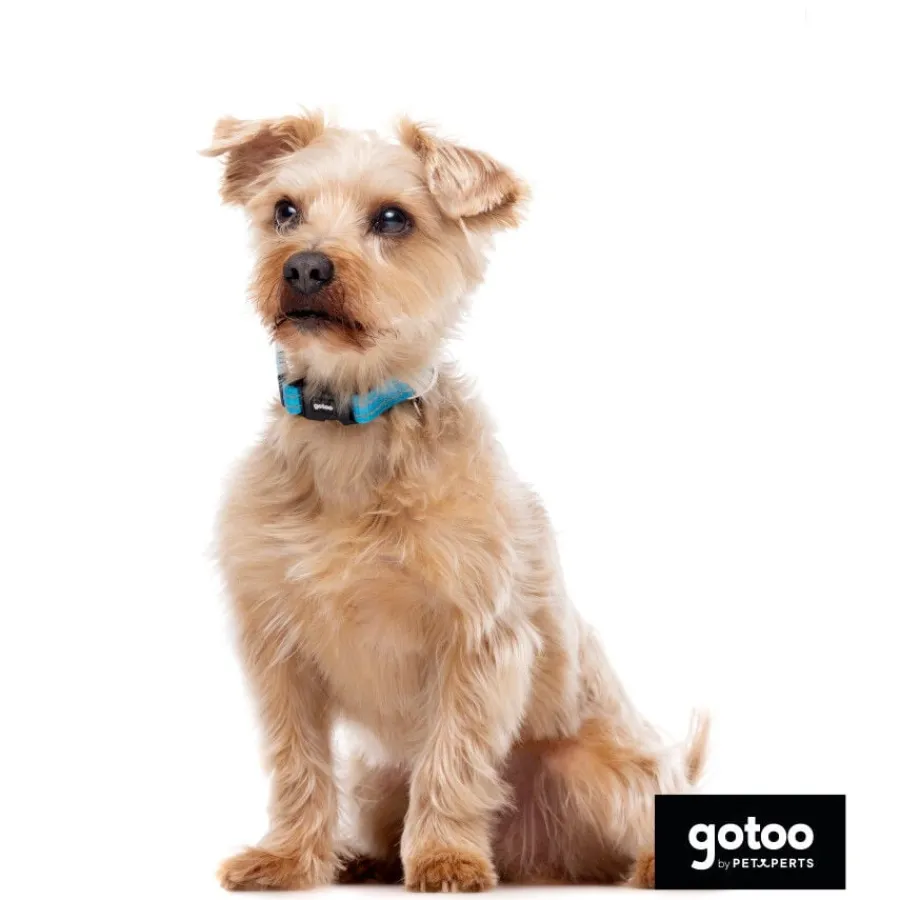 Gotoo collar de nylon reflectante azul para perros Online