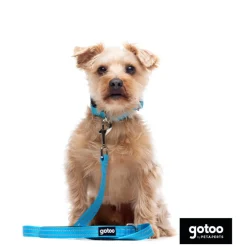 Gotoo collar de nylon reflectante azul para perros Online