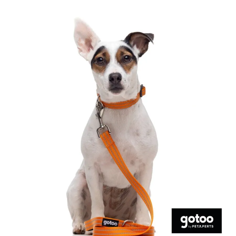 Gotoo Collar de nylon reflectante naranja para perros Online
