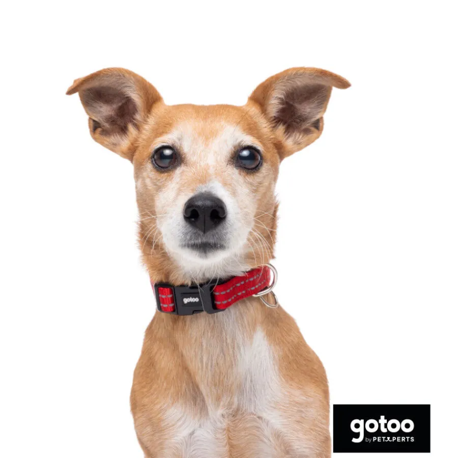Gotoo Collar de nylon reflectante rojo para perro New