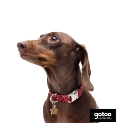 Gotoo Collar estampado cachemira rojo para perros Outlet