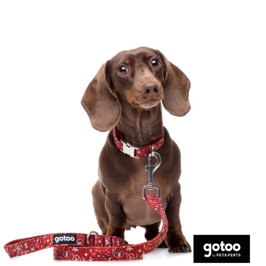 Gotoo Collar estampado cachemira rojo para perros Outlet
