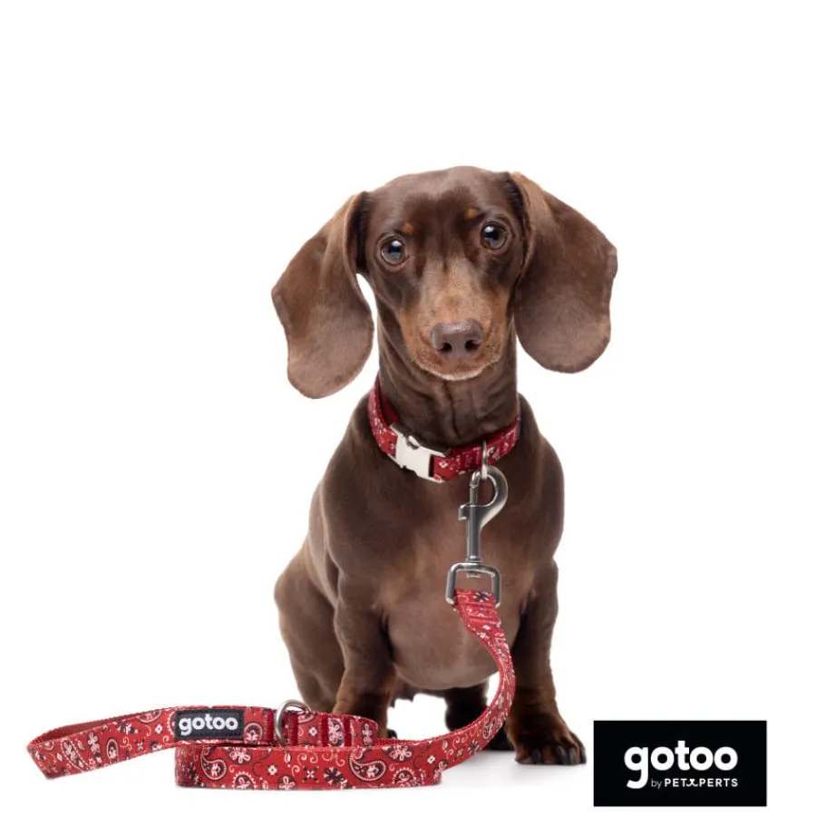 Gotoo Collar estampado cachemira rojo para perros Outlet