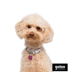 Gotoo Collar estampado cuadro vichy gris para perros