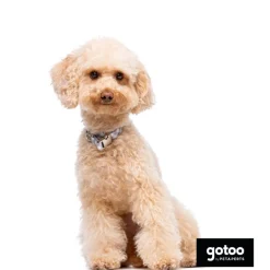 Gotoo Collar estampado cuadro vichy gris para perros
