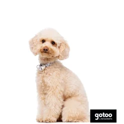 Gotoo Collar estampado cuadro vichy gris para perros
